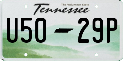 TN license plate U5029P