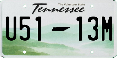 TN license plate U5113M