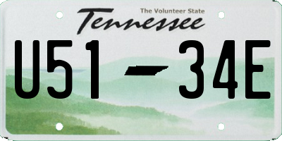 TN license plate U5134E