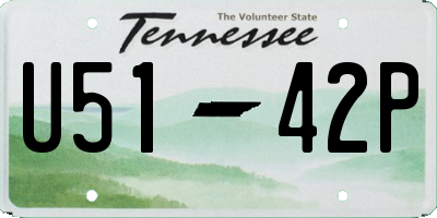 TN license plate U5142P
