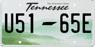 TN license plate U5165E