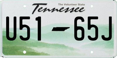 TN license plate U5165J