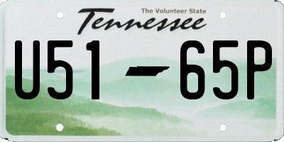 TN license plate U5165P