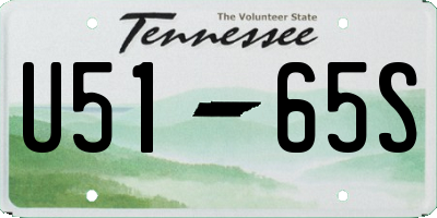 TN license plate U5165S