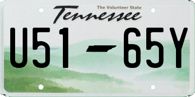 TN license plate U5165Y