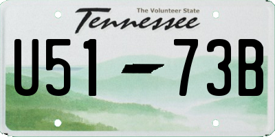 TN license plate U5173B