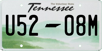 TN license plate U5208M