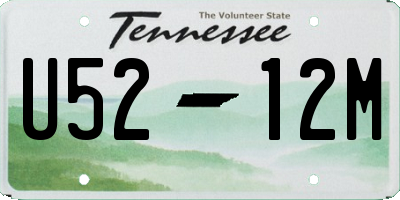 TN license plate U5212M