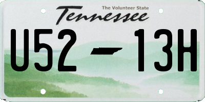 TN license plate U5213H