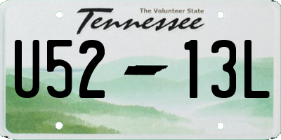 TN license plate U5213L