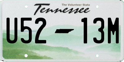 TN license plate U5213M