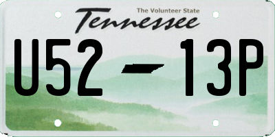 TN license plate U5213P