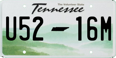 TN license plate U5216M