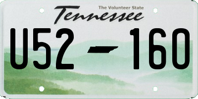 TN license plate U5216O