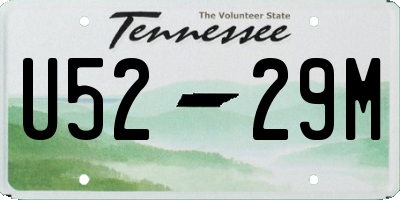 TN license plate U5229M