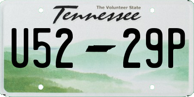 TN license plate U5229P