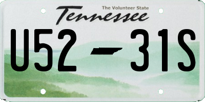 TN license plate U5231S