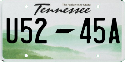 TN license plate U5245A