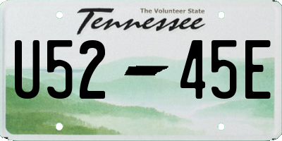 TN license plate U5245E