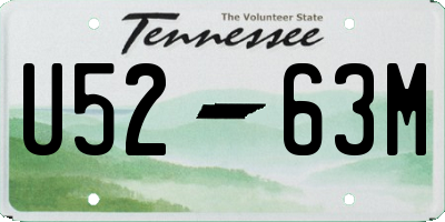 TN license plate U5263M