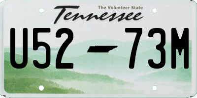 TN license plate U5273M