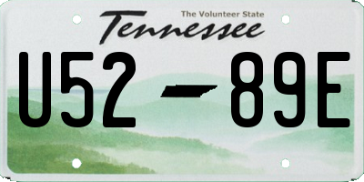 TN license plate U5289E