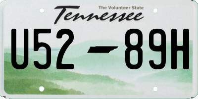 TN license plate U5289H