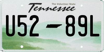 TN license plate U5289L