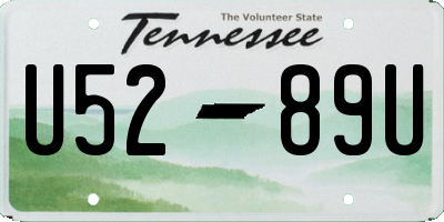 TN license plate U5289U