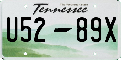 TN license plate U5289X