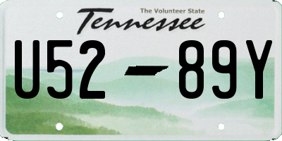 TN license plate U5289Y