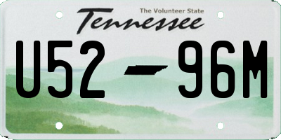 TN license plate U5296M