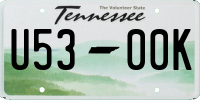 TN license plate U5300K