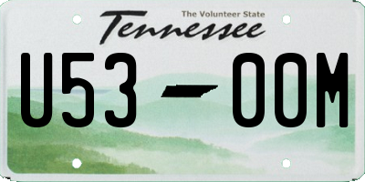 TN license plate U5300M