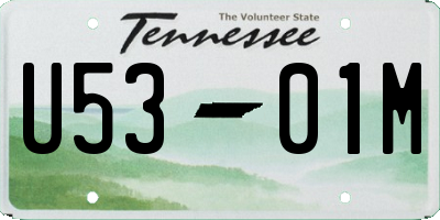 TN license plate U5301M