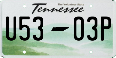 TN license plate U5303P