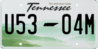 TN license plate U5304M
