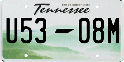 TN license plate U5308M