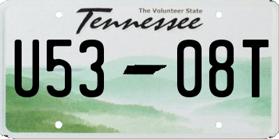 TN license plate U5308T