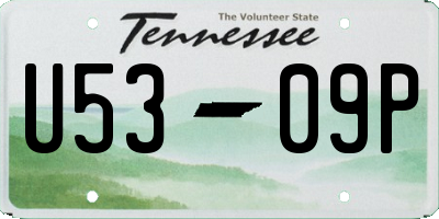 TN license plate U5309P
