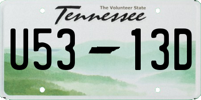 TN license plate U5313D