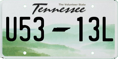 TN license plate U5313L