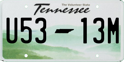 TN license plate U5313M