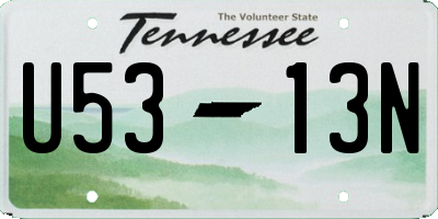 TN license plate U5313N