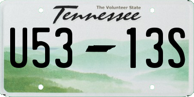 TN license plate U5313S