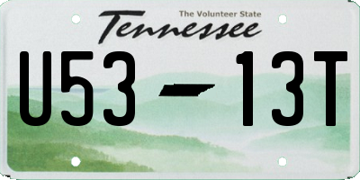 TN license plate U5313T