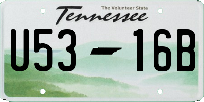 TN license plate U5316B
