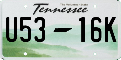 TN license plate U5316K