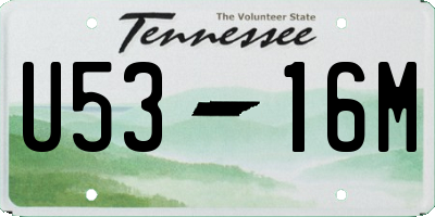 TN license plate U5316M