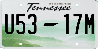 TN license plate U5317M